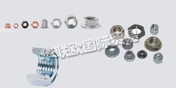 德國(guó)FLAIG+HOMMEL主要產(chǎn)品：FLAIG+HOMMEL螺絲、螺母等。FLAIG+HOMMEL GmbH是一家在冷成型領(lǐng)域的創(chuàng)新型傳統(tǒng)公司，專注于連接技術(shù)。除了復(fù)雜的冷擠壓零件外，Aldingen總部還生產(chǎn)螺母，螺旋塞和機(jī)加工零件。獲得專利的FS全鋼防松螺母專為極端溫度，振動(dòng)和環(huán)境條件而設(shè)計(jì)。